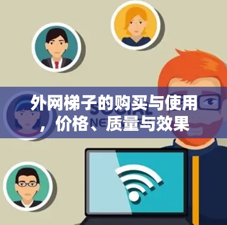 外网梯子的购买与使用,价格、质量与效果