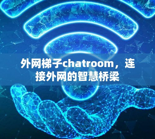 外网梯子chatroom，连接外网的智慧桥梁