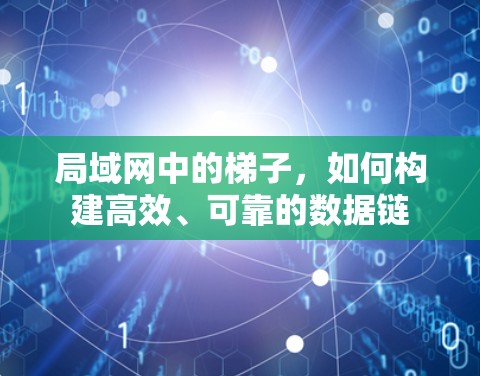 局域网中的梯子,如何构建高效、可靠的数据链