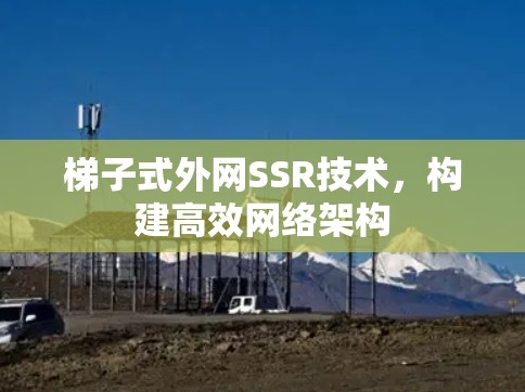 梯子式外网SSR技术,构建高效网络架构