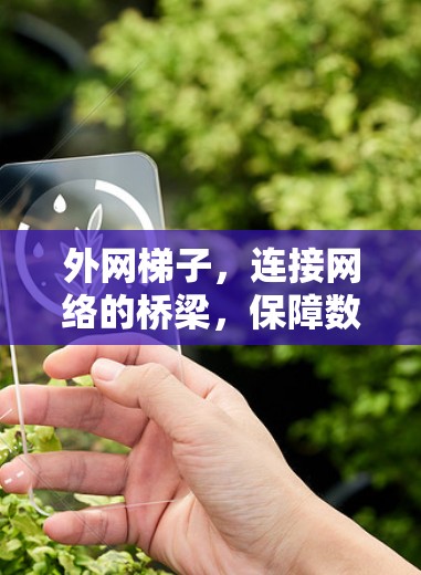 外网梯子，连接网络的桥梁，保障数据传输的顺畅