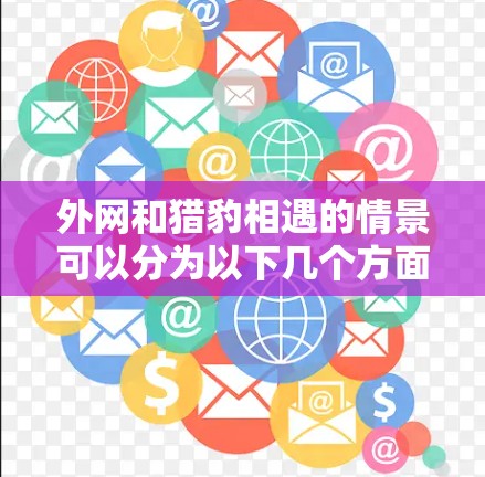 外网和猎豹相遇的情景可以分为以下几个方面来分析