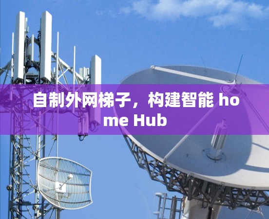 自制外网梯子，构建智能 home Hub