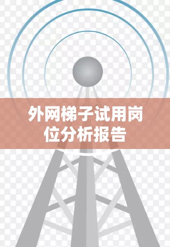 外网梯子试用岗位分析报告