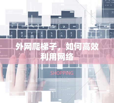 外网爬梯子,如何高效利用网络